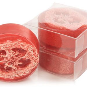 Caribbean Coconut Loofa Soap