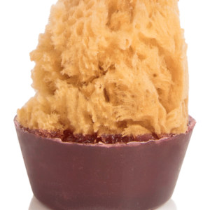 Caribbean Coconut Sponge Soap