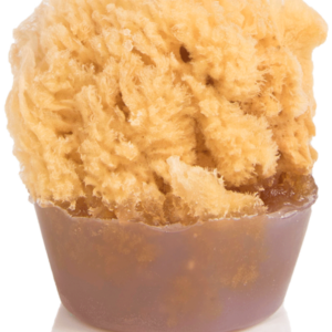 Pink Sugar Sea Sponge Soap