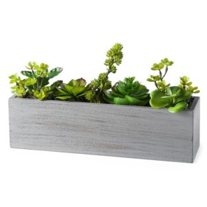 Solaro Rectangle 14" Potted Faux Succulent Cluster