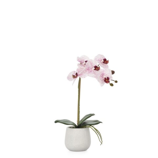Phalaenopsis Potted 15" Faux Single Stem Orchid - Pink