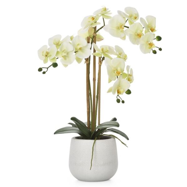 Phalaenopsis Potted 23" Faux Triple Stem Orchid -Yellow