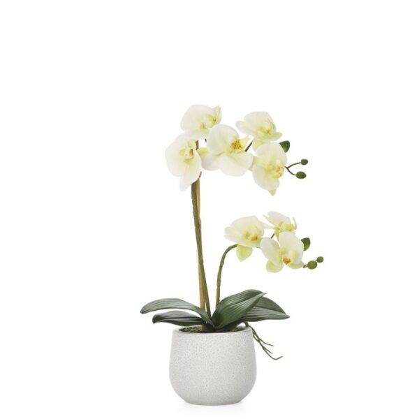 Phalaenopsis Potted 18" Faux Double Stem Orchid - Yellow