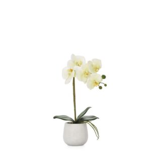 Phalaenopsis Potted 15" Faux Single Stem Orchid - Yellow