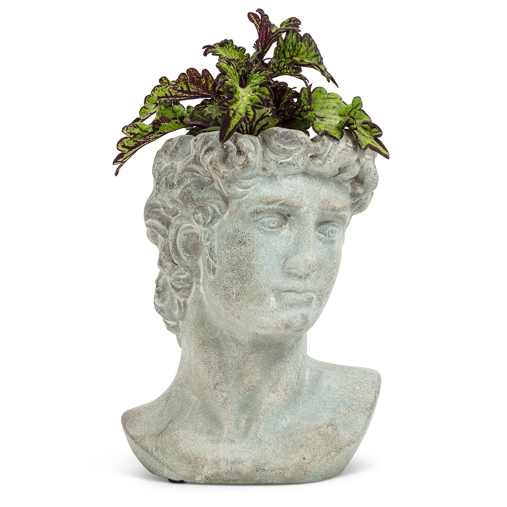 Medium Male Head Planter - Dolce Kimera