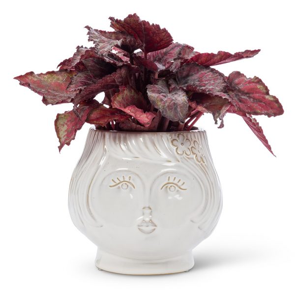 Woman Face Planter - Image 2