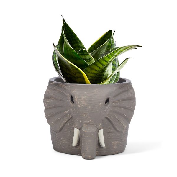 Small Elephant Planter