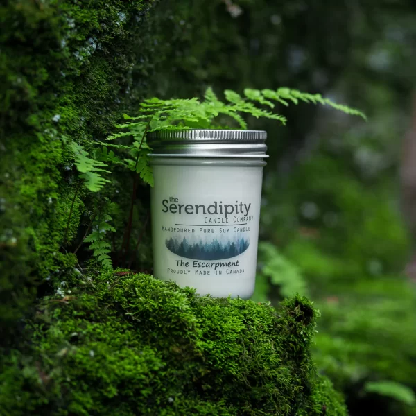 Serendipity The Escarpment